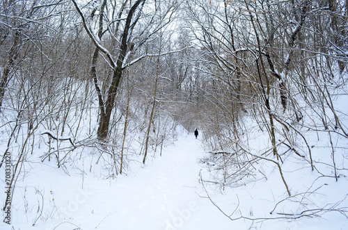 Winter road through forest and snow.