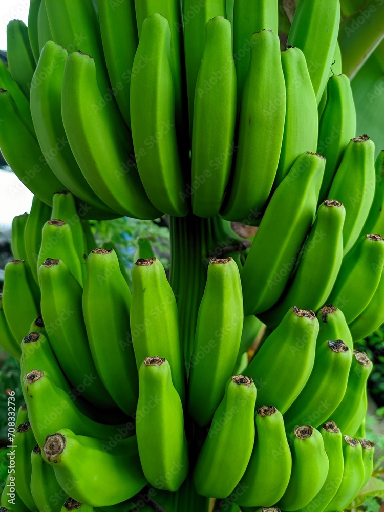 Bananas are one of the nutritious and nutritious healthy foods, especially for athletes Bananas are one of the nutritious and nutritious healthy foods, especially for athletes