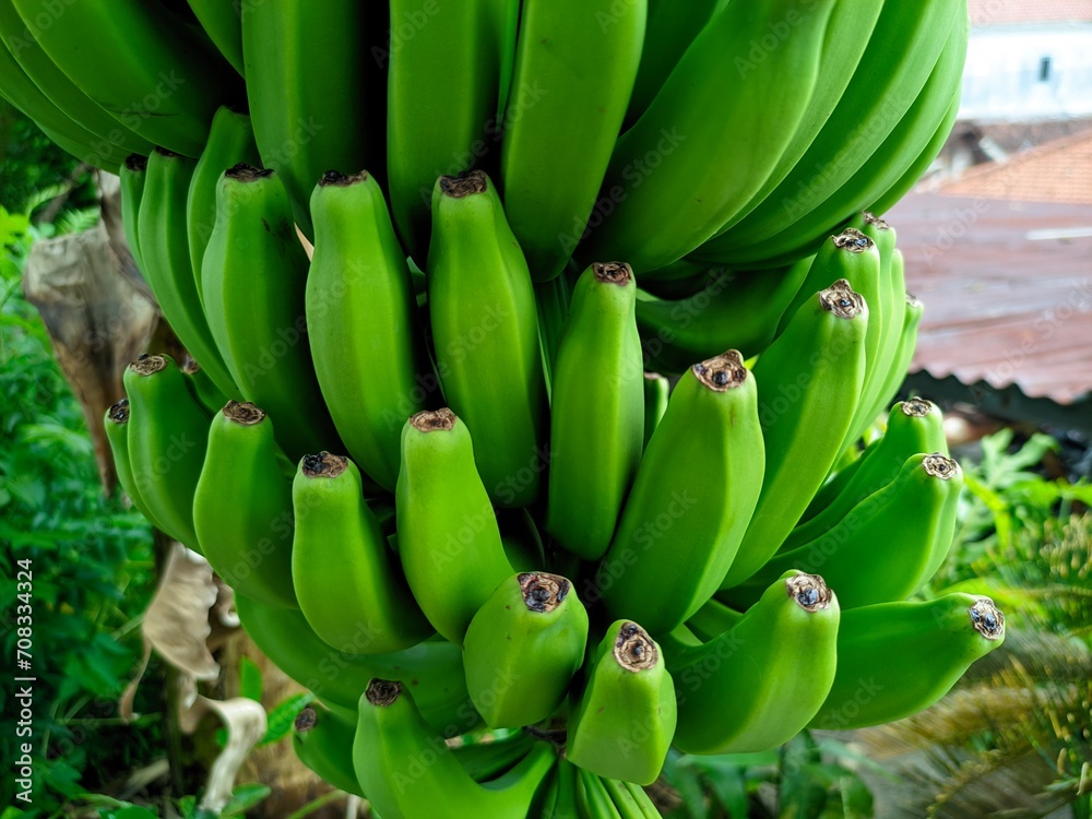 Bananas are one of the nutritious and nutritious healthy foods, especially for athletes Bananas are one of the nutritious and nutritious healthy foods, especially for athletes