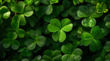 Four clover, Natural green background with fresh three-leaved shamrocks. St. Patrick's day holiday symbol. Top View, green background clover leaf bokeh lights defocused, Ai generated image