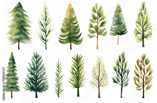 Watercolor painting Pine tree symbols on a white background. 