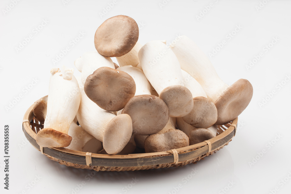 Fototapeta premium Mushrooms that are similar in shape to pine mushrooms and have excellent fleshy texture