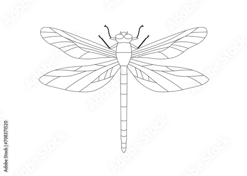 On an white background is there an Fire dragonfly for illutrator photo