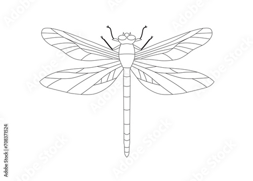 On an white background is there an Fire dragonfly for illutrator photo