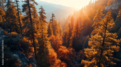 Forest giants, drone's perspective, vibrant sunset hues, dense woodland vista, photorealistic dusk over Sequoia Park Generative AI