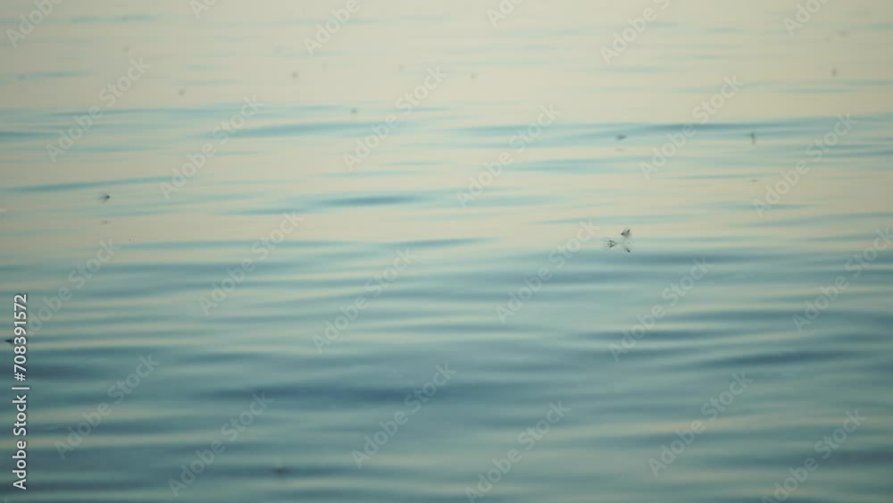 Sea water surface. Camera flies over the calm azure sea. Nobody. Holiday recreation concept. Abstract nautical summer ocean nature. Weather and climate change. Slow motion. Close up Sea water surface. Camera flies over the calm azure sea. Nobody. Holiday recreation concept. Abstract nautical summer ocean nature. Weather and climate change. Slow motion. Close up