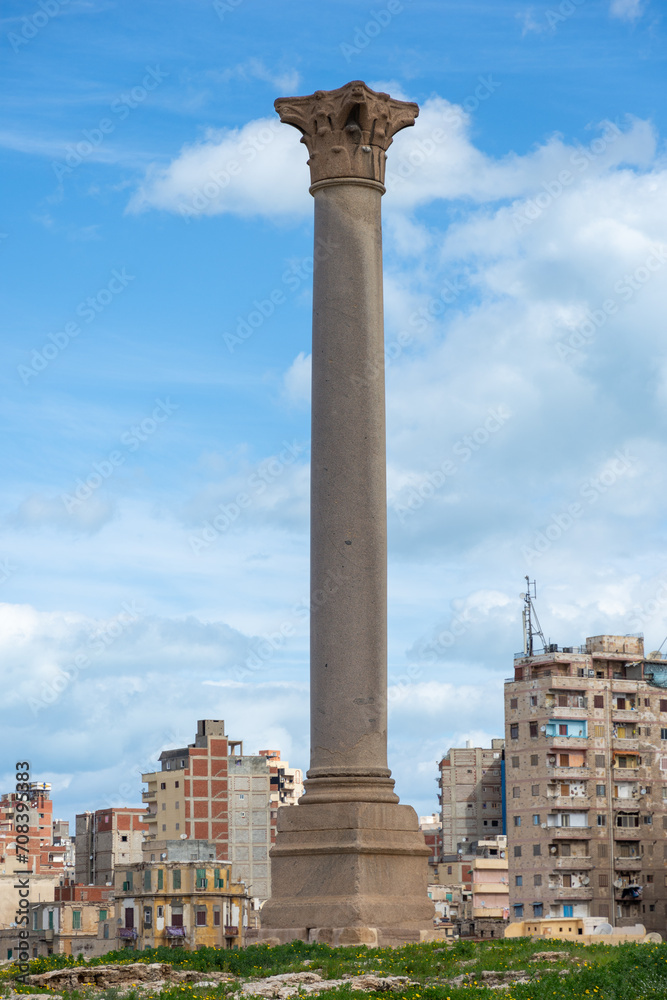 Giant ancient Pompey's pillar on territory of Serapeum of Alexandria  against multi-storey residential buildings