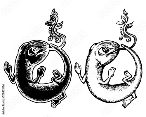 lizard ornament vector hand draw illustration on white background