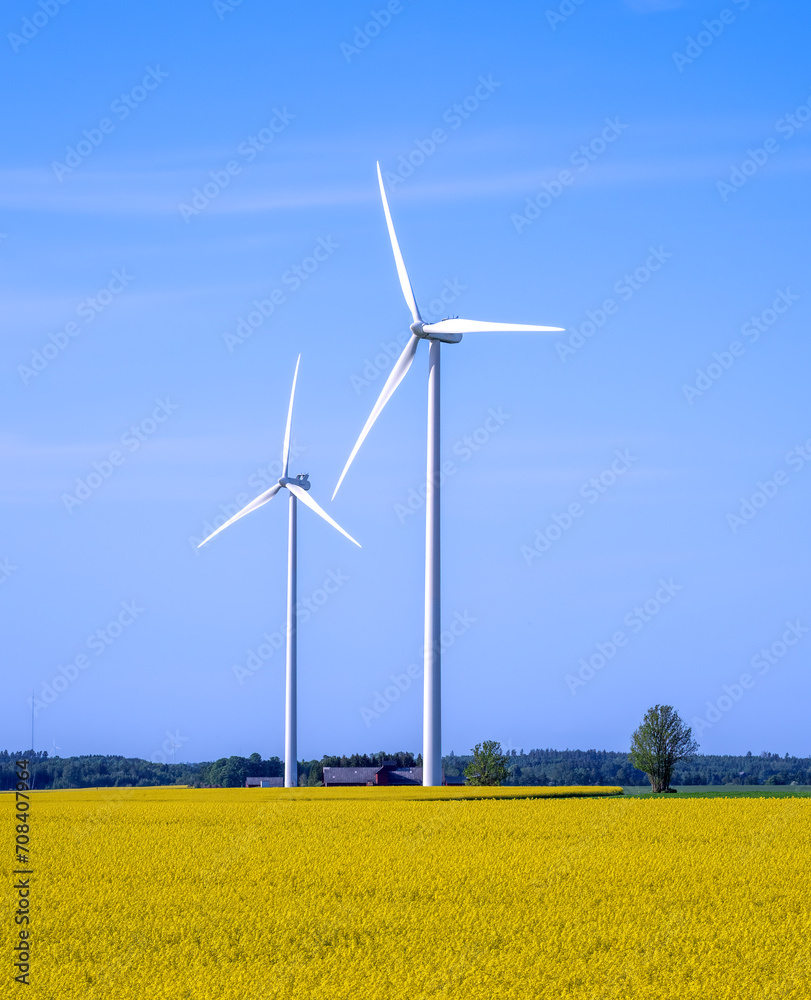 Swedish landscape with yellow rapeseed field and two aeolians Swedish landscape with yellow rapeseed field and two aeolians