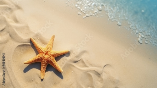 starfish on the beach sand