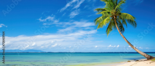 Paradise beach with palm trees and blue sky © Mik Saar