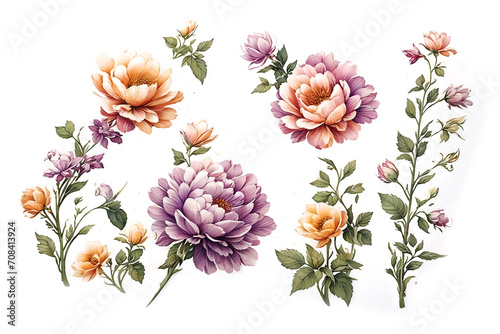 set of flower isolate background AI Generated.