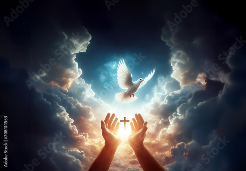 The Holy Spirit descended from heaven like a dove