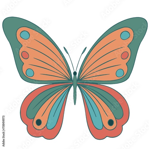 Colourful butterfly  isolated