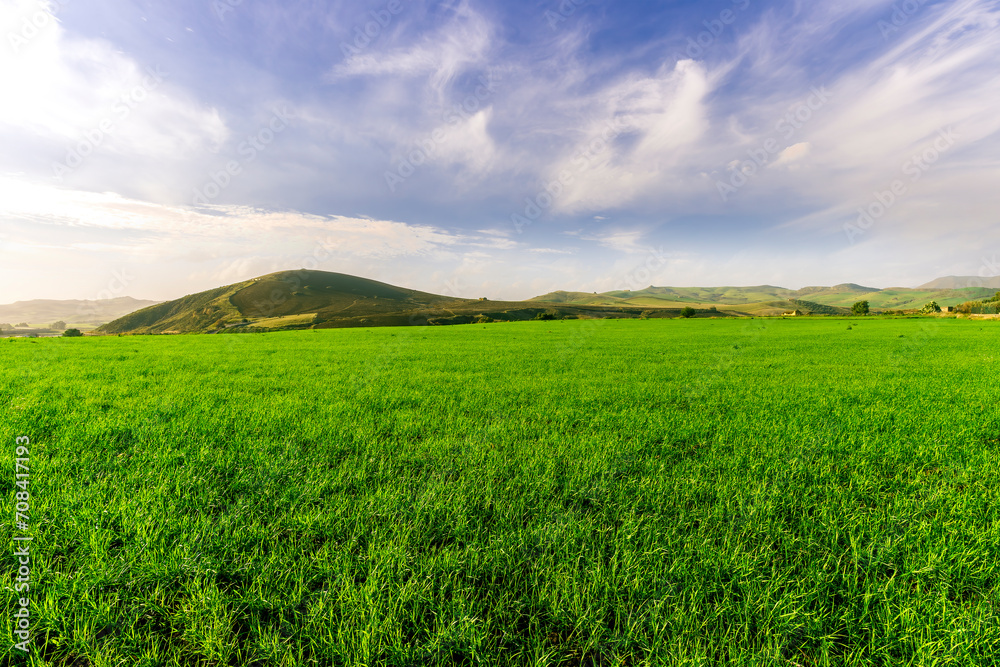 Fototapeta premium green landscape of spring field with green young grass and amazing hills on background