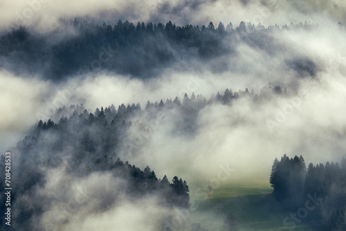 Nebel steigt aus einem Wald auf. Grüne Wiese kommt zum vorschein. Luftaufnahme einer Waldlichtung, Nebelschwaden steigen auf.