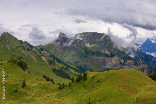 Bernese Oberland, Switzerland: on Schynige Platte, with the peak of Ussri Sägissa (2463m) and the Winteregg ridge in the distance and the Loucherhorn on the extreme left