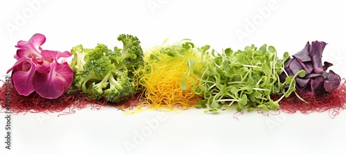 Vibrant microgreens macro photo, highlighting their delicate nature and nutrient rich appeal