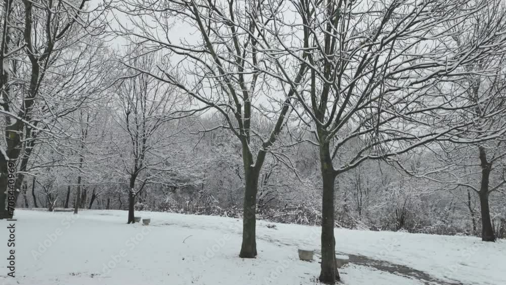 Amazing Winter Landscape of South Park in city of Sofia, Bulgaria Amazing Winter Landscape of South Park in city of Sofia, Bulgaria