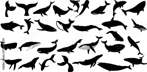 Whale silhouettes, diverse shapes, sizes, Whale vector illustration, black isolated on white background. Perfect for ocean-themed designs, educational graphics, nature-inspired artwork photo
