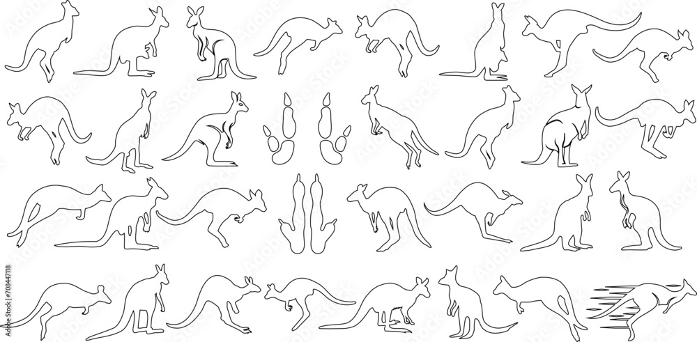 Kangaroo vector art collection, detailed outlines in dynamic poses of kangaroos. Perfect for wildlife, nature-themed designs. Editable, customizable black and white illustrations