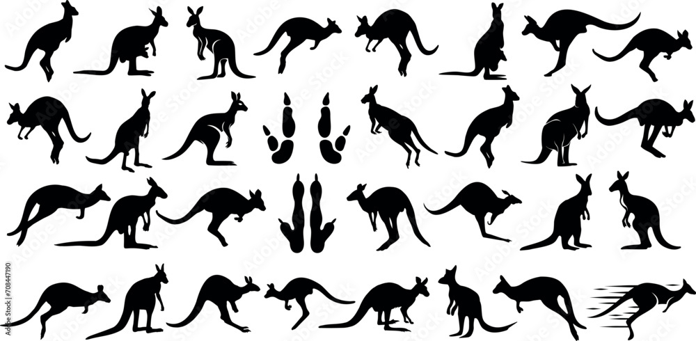 Kangaroo silhouettes, diverse poses, black kangaroo graphics on white background. Ideal for wildlife, nature themes, Australia-related designs. Vector illustration