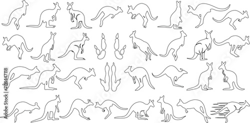 Kangaroo vector art collection, detailed outlines in dynamic poses of kangaroos. Perfect for wildlife, nature-themed designs. Editable, customizable black and white illustrations