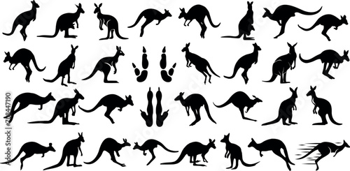Kangaroo silhouettes, diverse poses, black kangaroo graphics on white background. Ideal for wildlife, nature themes, Australia-related designs. Vector illustration