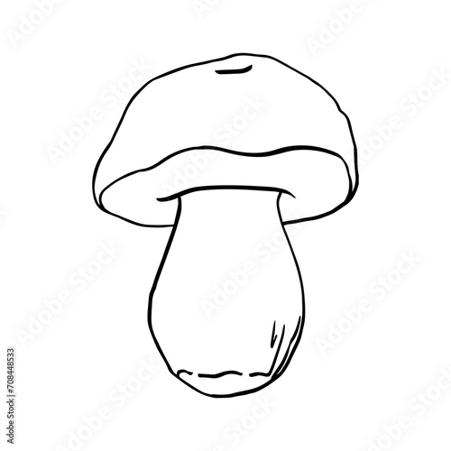 Vector black line contour illustration mushroom drawn by hand, family of edible mushrooms. Simple flat graphic porcini clip art for the design. Line hand drawing wildlife clip art for print, fabric