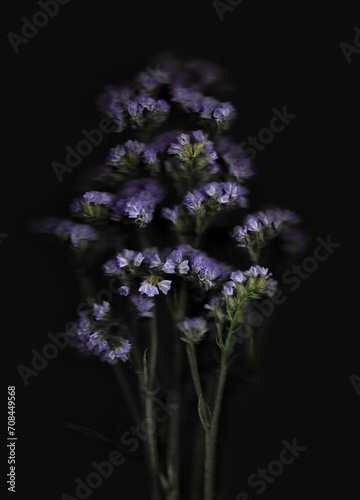 Flower scan background. Scanned flat limonium bouquet. Glitchy abstract distorted flowers of sea lavender. Colorful bright photocopy with scanner noise effect for advertising, poster or postcard.