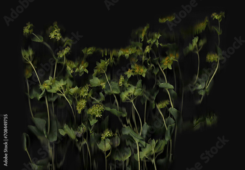 Flower scan background. Scanned flat herbal bouquet. Glitchy abstract distorted flowers of bupreurum. Colorful bright photocopy with scanner noise effect for advertising, poster or postcard.