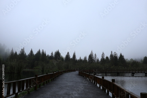 wooden bridge over lake © KAKI