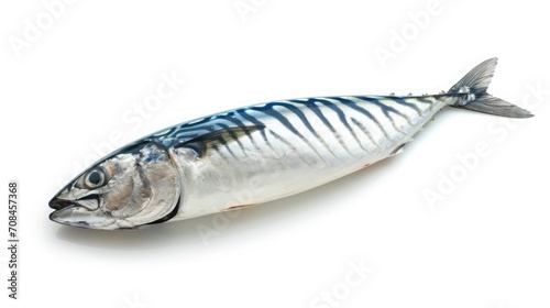 mackerel slice or spotted mackerels isolated on white background ,Scomberomorus