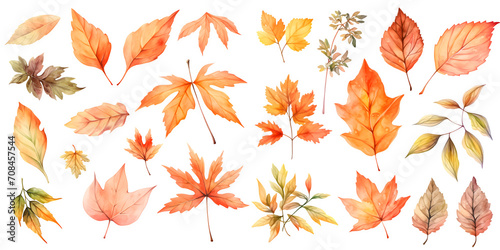 Watercolor autumn leave clipart for graphic resources