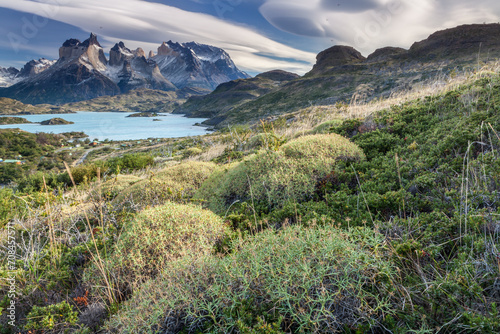 Nice view of Torres Del Paine National Park, Chile. © masar1920