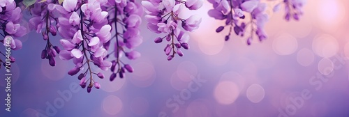 Wisteria organic eco natural background with text space. Natural website header or banner design in purple color