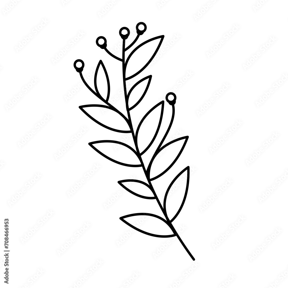 Botanical Decoration Elements Lines Style Vector 