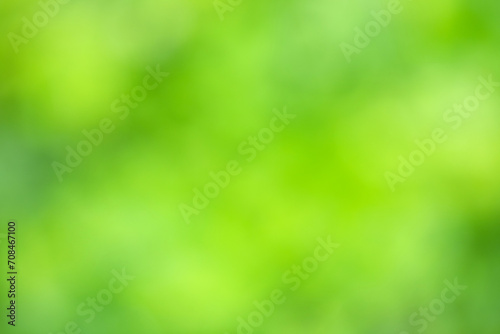 bokeh of green plants, blurred eco background