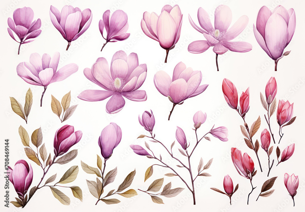 Nature's Dream: A Delicate Floral Symphony in Watercolor, Blushing Pink Blossoms Dance in a Botanical Garden Nature's Dream: A Delicate Floral Symphony in Watercolor, Blushing Pink Blossoms Dance in a Botanical Garden