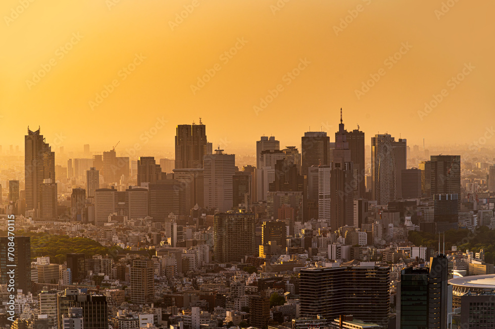 Obraz premium Skyline of tokyo city with gold light sunset or sun rise sky background in winter season, Tokyo, Japan