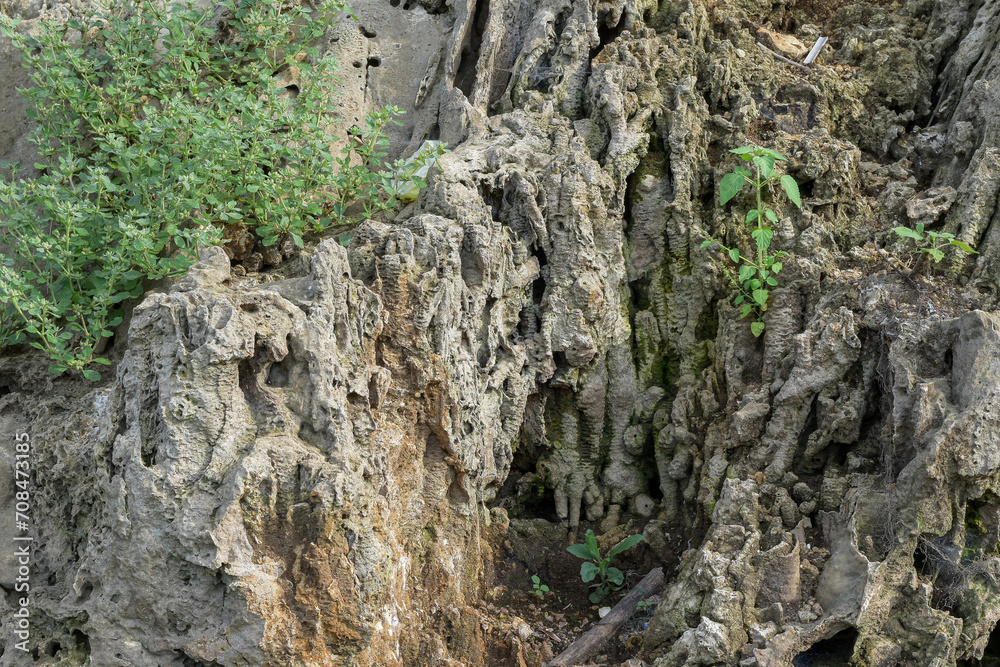 Rock cliff background, fossil rock, aquascape background material, paludarium