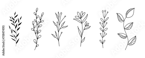 Set of botanical line art floral leaves  plants. Hand drawn sketch branches isolated on white background. Vector illustration 