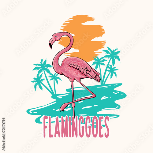 Flamingo california and beach