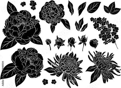Set of silhouettes of roses, peonies, asters