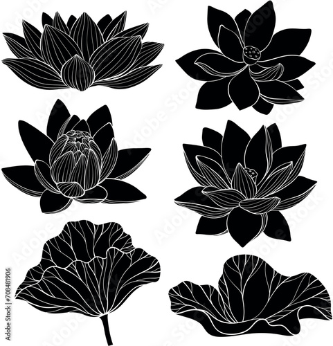 Set of lotus silhouette. Lotus flower photo