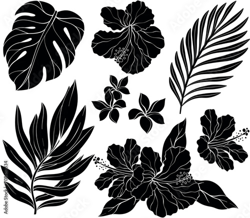 Set of silhouette of Hibiscus, palm leaves.
