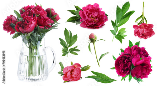 Fototapeta Naklejka Na Ścianę i Meble -  Beautiful red peonies with green leaves isolated on white, collection