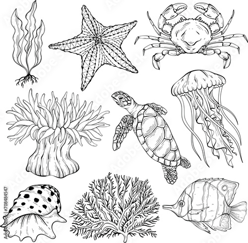 summer sketch of underwater set.