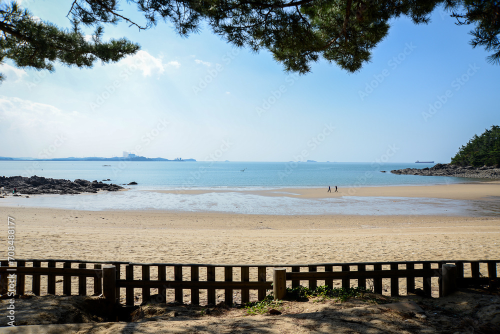 Fototapeta premium beach in the morning