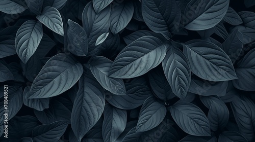 Background of abstract leaves with a focus on aesthetic minimalism. The composition features a dark backdrop providing ample copy space, highlighted by a trendy sage color palette. © TensorSpark